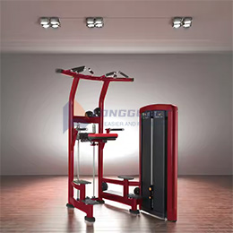 Assisteret dip & pull-up-maskine