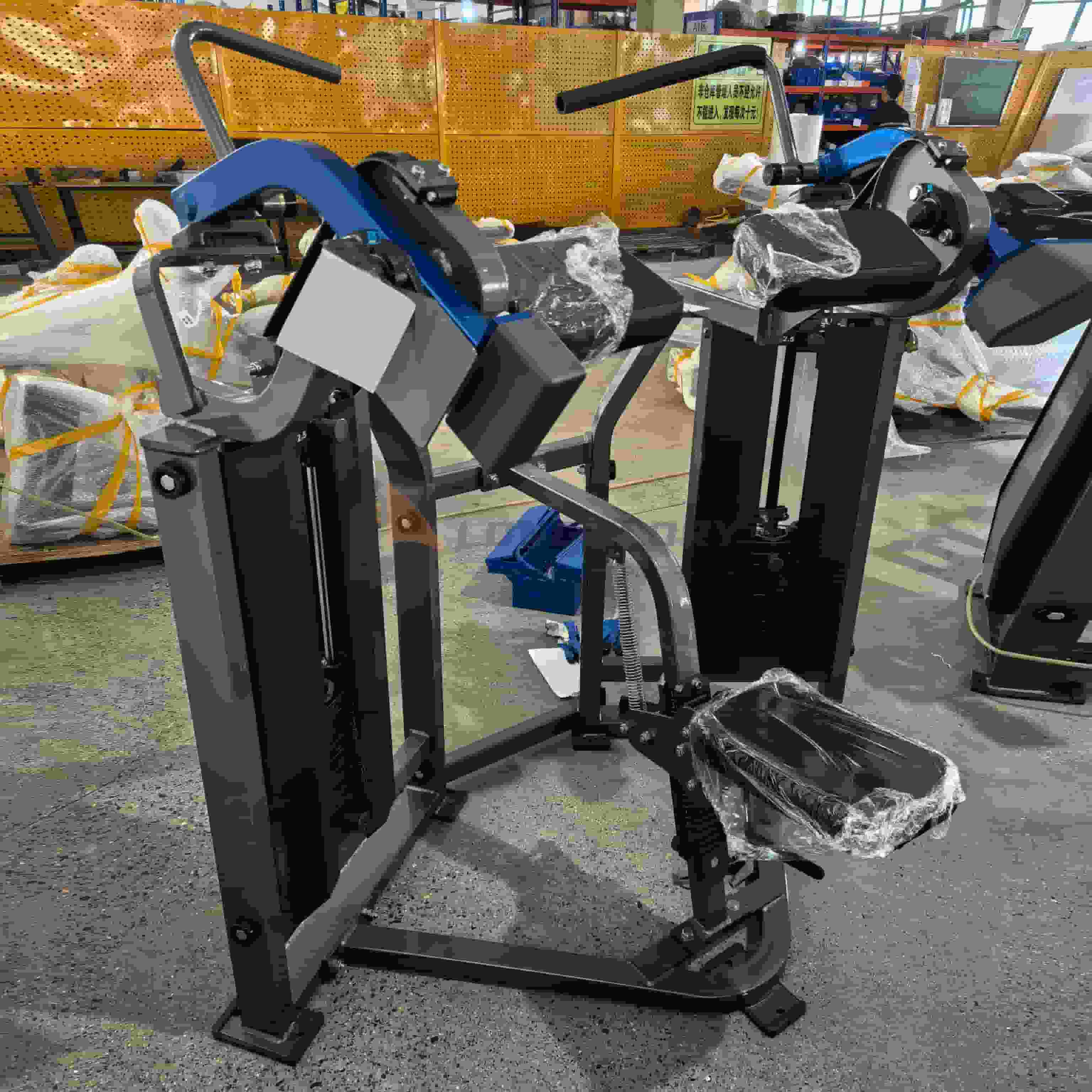 Gym Biceps Curl Machine